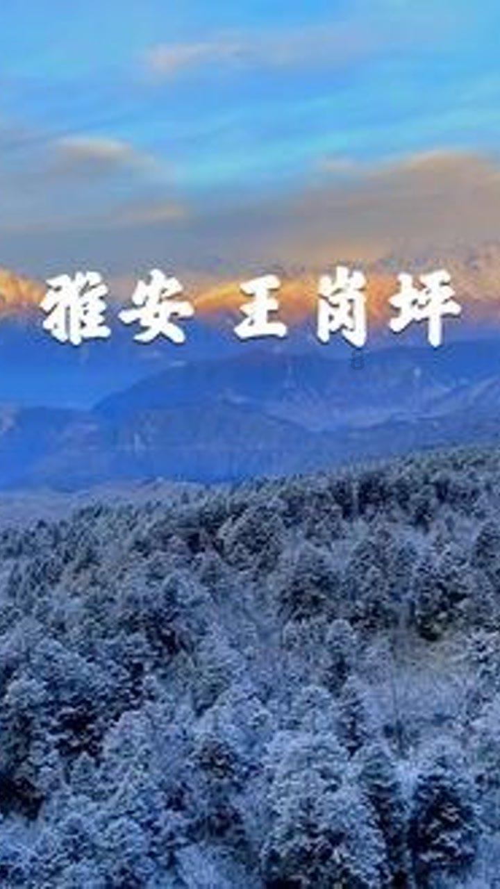 怎样提高自己的阅读做题能力?-分享交流你的声音