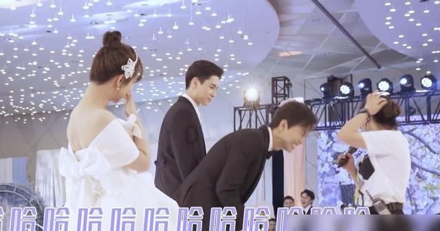 眼镜蛇秘密行动